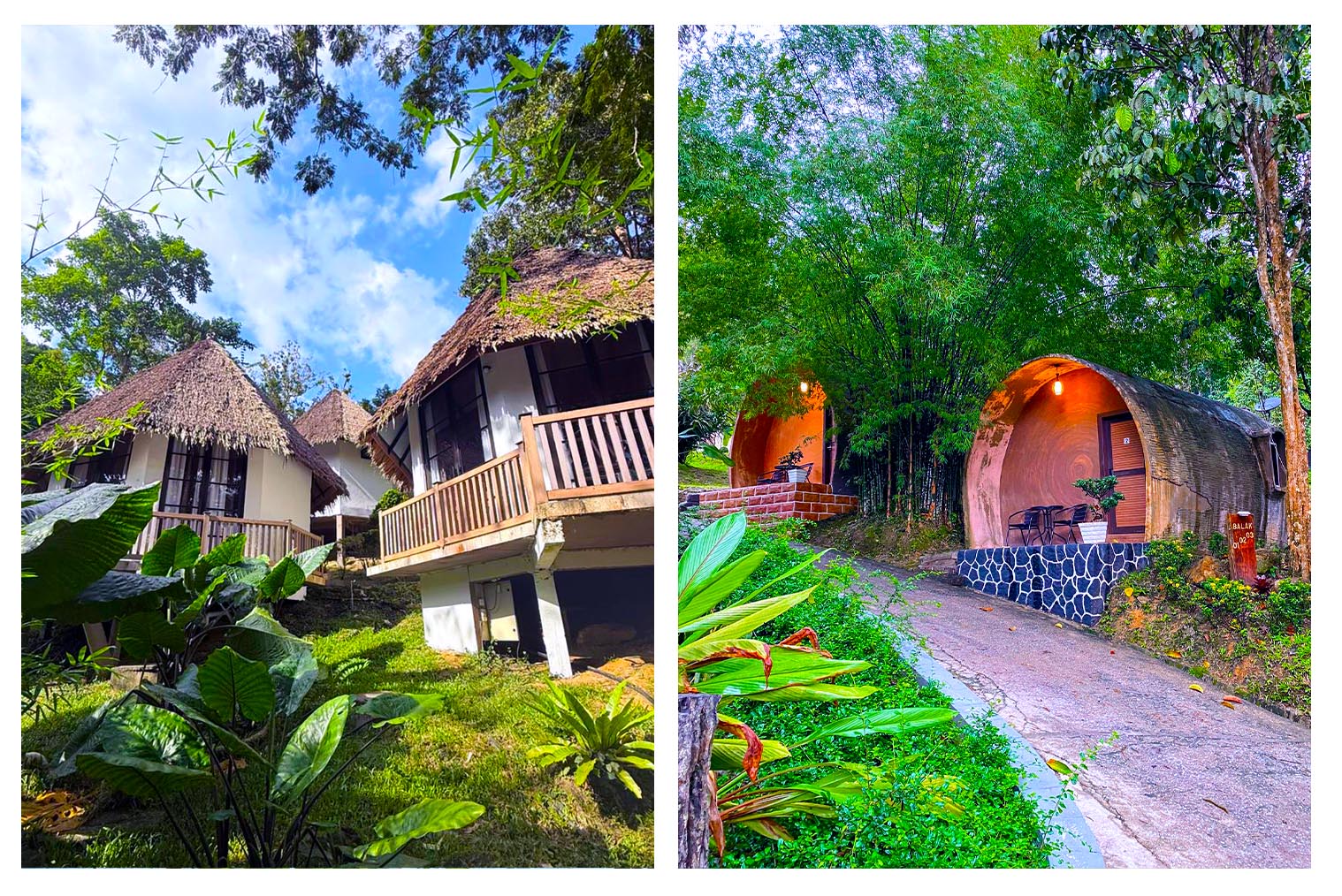 Resort in the middle of tropical jungle in Malaysia