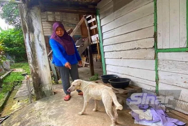 Norhaeda beri makan anjing liar di kota bharu