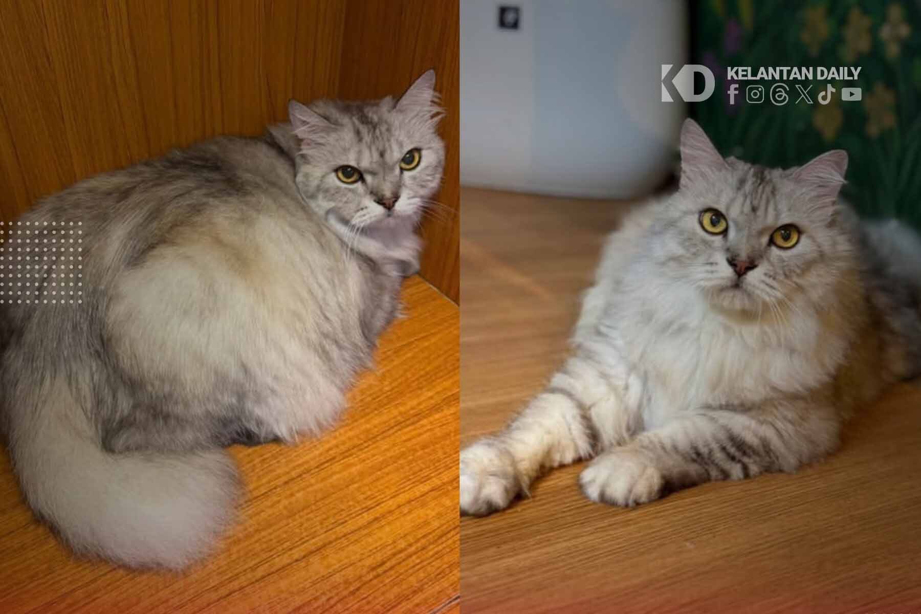 Lebih 3 Tahun Duduk Hotel Di Kelantan, Bil Mika Cecah RM21,500