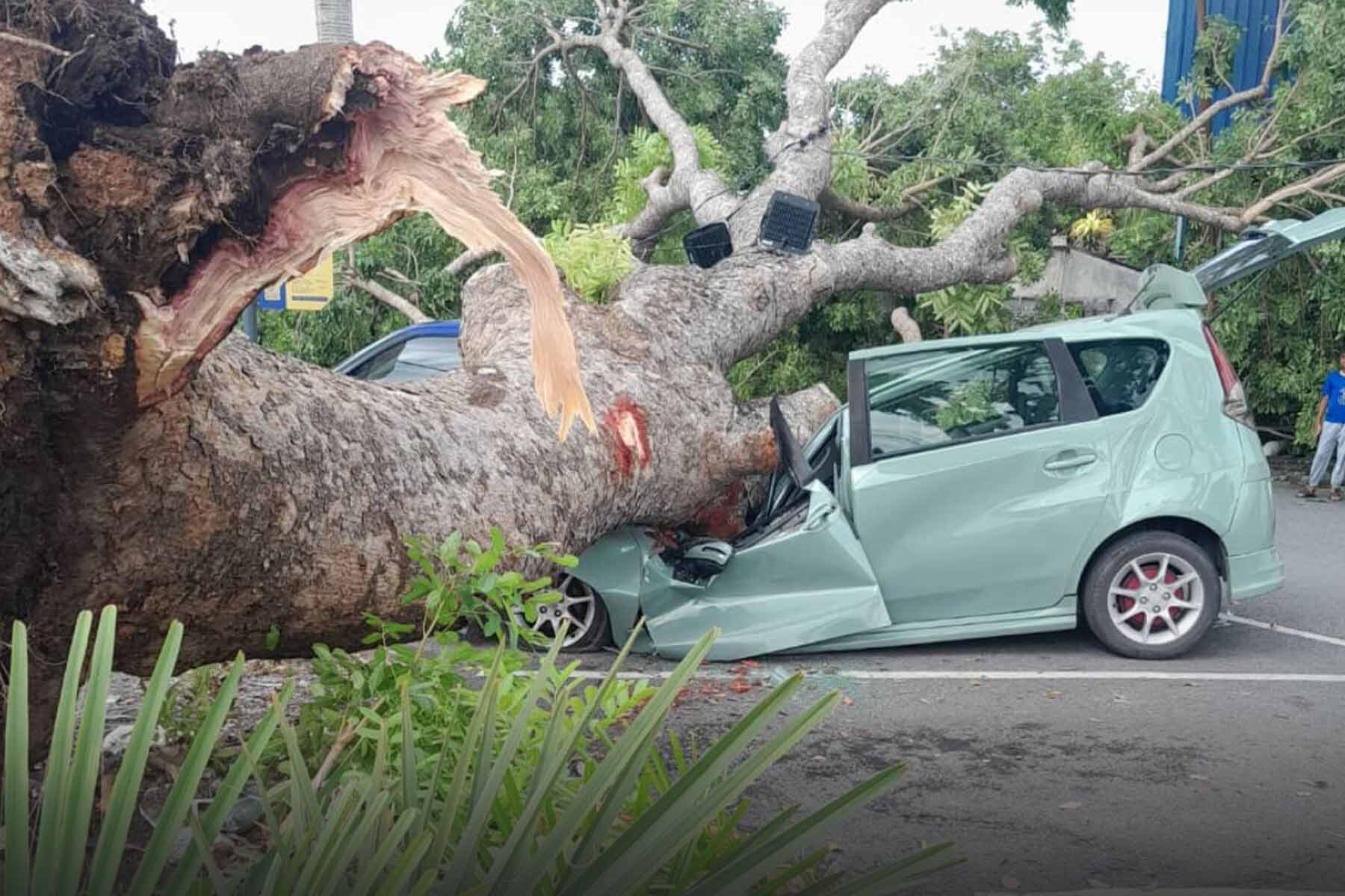 Gerak hati seorang ibu dan sebiji coklat menjadi asbab sebuah keluarga terselamat beberapa saat sebelum kereta mereka dihempap pokok.