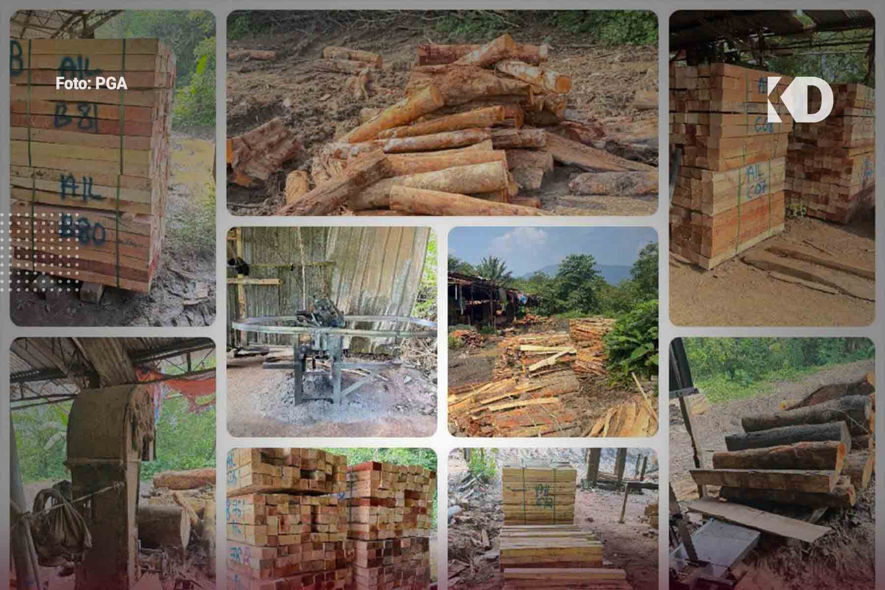 Kilang Kayu Diserbu di Jeli, Rampasan Cecah RM1.6 Juta